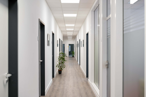 Ein moderner Büroflur mit Pflanzen und heller Beleuchtung, ideal für SHD Nürnberg.