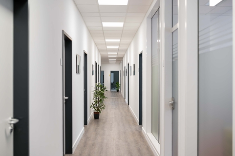 Ein moderner Büroflur mit Pflanzen und heller Beleuchtung, ideal für SHD Nürnberg.