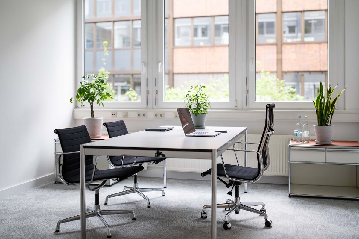 Moderne Büroeinrichtung mit einem Tisch, Laptops und Pflanzen in einem hellen Raum von SHD Nürnberg.