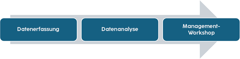 Drei Kästen zeigen die Schritte: Datenerfassung, Datenanalyse und Management-Workshop im Prozess.